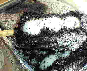 e0031798_20104094.jpg