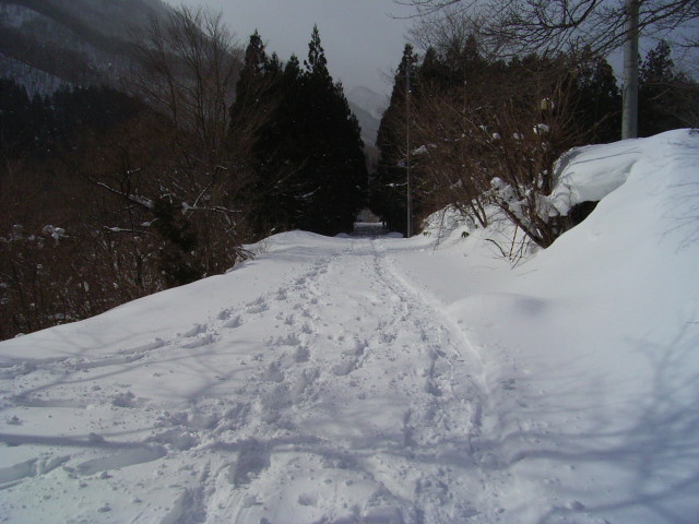 b0050305_2152586.jpg