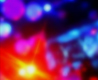 c0055305_235181.jpg