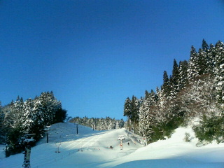a0041508_17384685.jpg