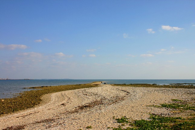 b0026610_16353672.jpg