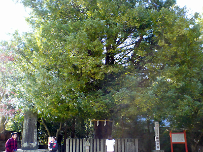 a0042911_20385690.jpg