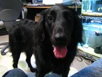 c0012120_229013.jpg