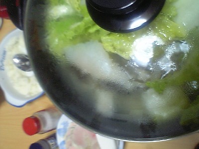 c0049225_1052125.jpg