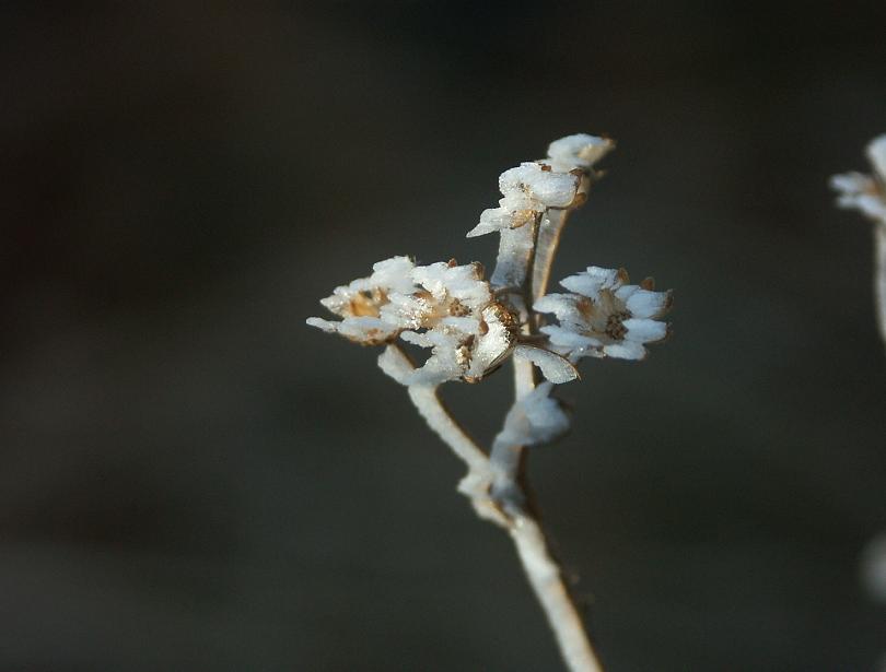 b0039226_715588.jpg