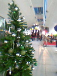 b0029435_15413015.jpg