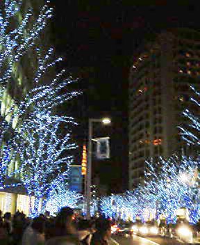 f0006939_2014677.jpg