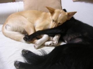 c0065643_21501318.jpg
