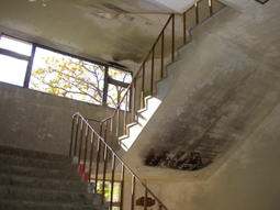 a0044046_045266.jpg