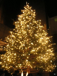 b0051666_12394738.jpg