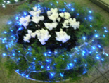 b0051666_13222680.jpg