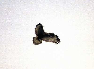 d0019074_10101094.jpg