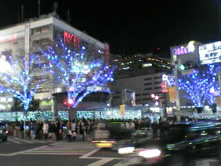 c0070177_002625.jpg