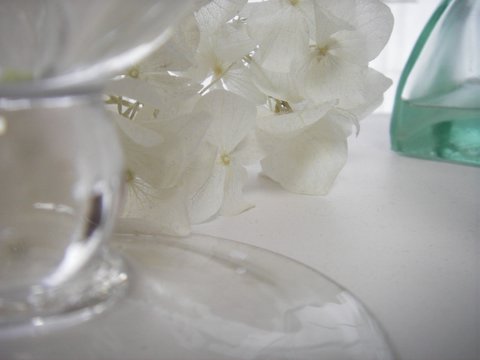 a0043982_13451783.jpg