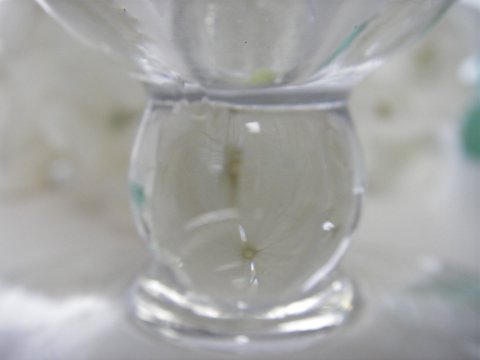 a0043982_1345520.jpg