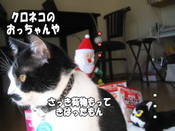 b0041182_202134100.jpg