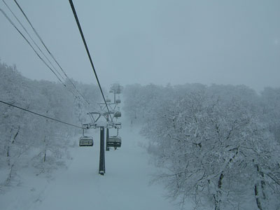 a0033493_21101885.jpg