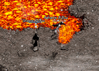 b0052295_646296.gif