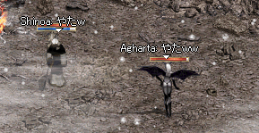 b0052295_6523410.gif