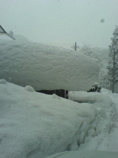 e0060807_16492566.jpg