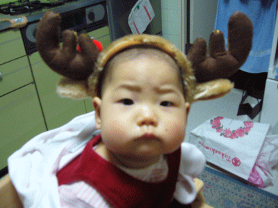 e0047610_16224633.gif