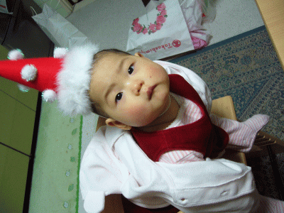 e0047610_16512100.gif