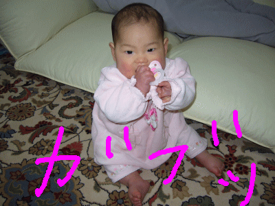 e0047610_1734532.gif