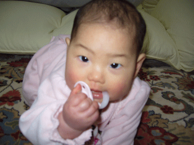 e0047610_177957.gif