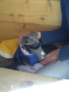 c0003217_0225789.jpg