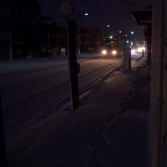 c0036617_11224523.jpg