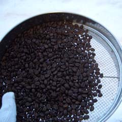 c0036617_11444378.jpg