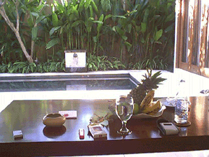 d0038319_916773.gif