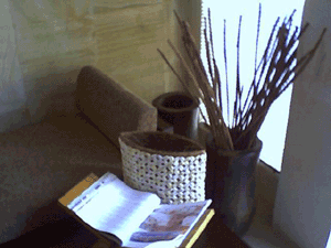 d0038319_9371864.gif