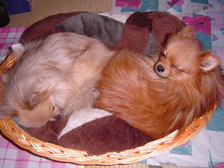 f0012924_2153451.jpg
