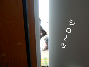 e0008833_15191029.jpg