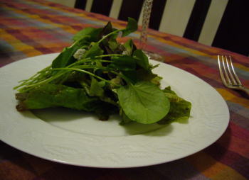 f0002252_0415445.jpg