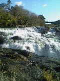 e0066062_10292534.jpg