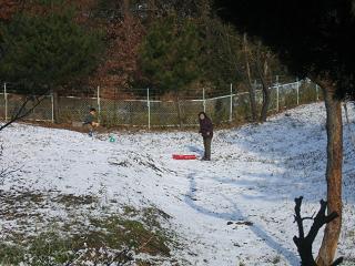 e0031568_2137675.jpg