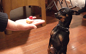 c0012571_14444676.gif