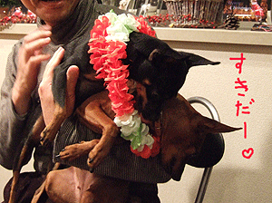 c0012571_14524475.gif