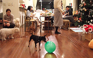 c0012571_1510476.gif