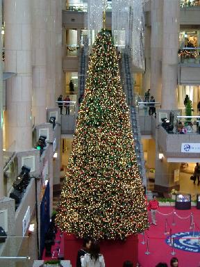 c0019284_22493781.jpg