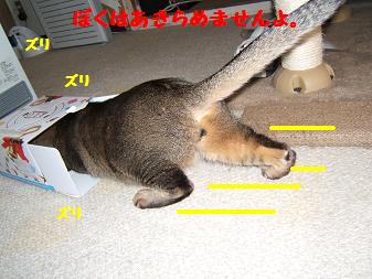 a0045990_2327229.jpg