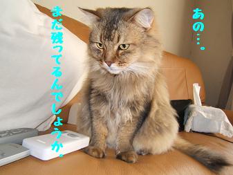 a0045990_23294213.jpg