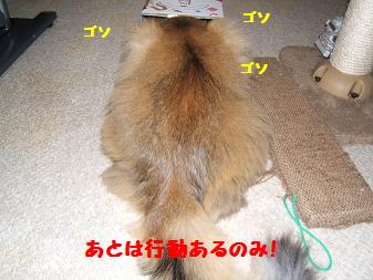 a0045990_23304941.jpg