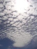 e0040591_2064274.jpg