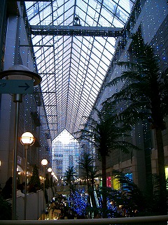 d0005397_134084.jpg