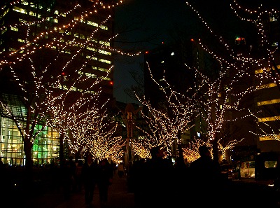 d0005397_295886.jpg