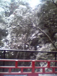 b0032702_2244379.jpg