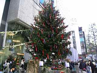 b0012010_010277.jpg
